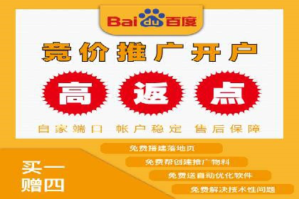 SEM运营推广助力行业领导地位